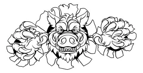 Boar Wild Hog Razorback Warthog Pig Sports Mascot Stock Illustration