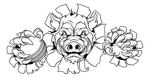 Boar Wild Hog Razorback Warthog Pig Cricket Mascot Stockillustratie