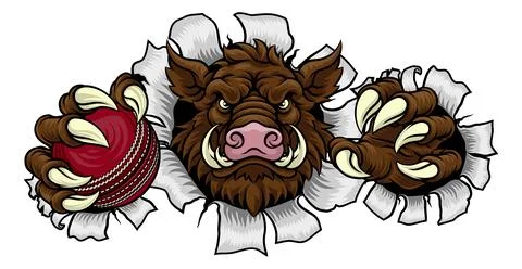 Boar Wild Hog Razorback Warthog Pig Cricket Mascot Stock Illustration