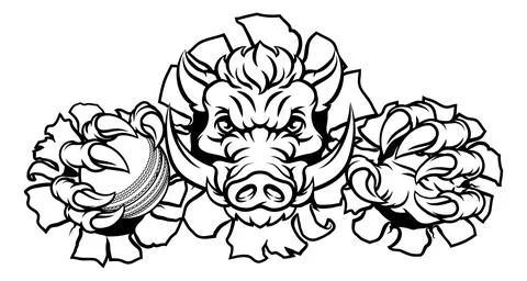 Boar Wild Hog Razorback Warthog Pig Cricket Mascot Stock Illustration