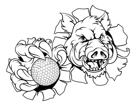 Boar Wild Hog Razorback Warthog Pig Golf Mascot Stock Illustration