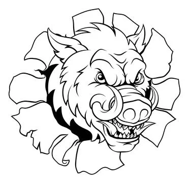 Boar Wild Hog Razorback Warthog Pig Sports Mascot Stock Illustration