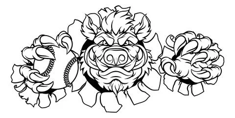 Boar Wild Hog Razorback Warthog Baseball Mascot Stock Illustration
