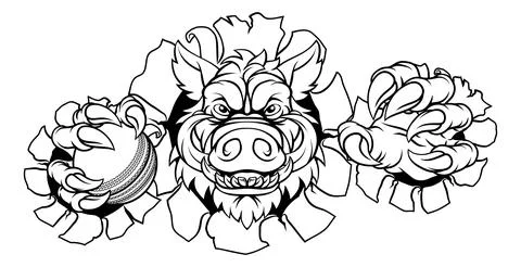 Boar Wild Hog Razorback Warthog Pig Cricket Mascot Stock Illustration