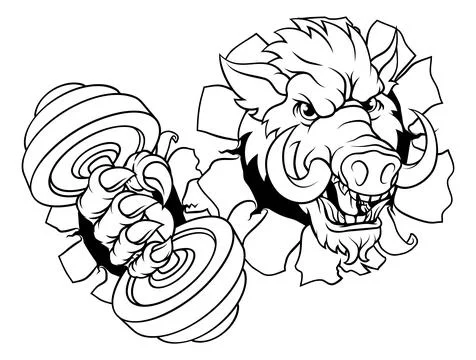 Boar Wild Razorback Warthog Weight Lifting Mascot Stock Illustration