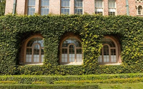 Board Administration Building Windows on the USC campus Stock Photos