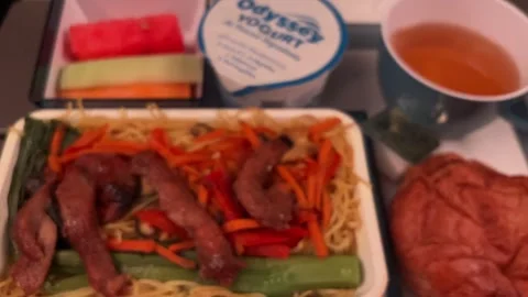 On Board Airplane Meal 스톡 동영상 252109052