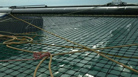 On board camera on catamaran navigating during race Stock Footage 36176624