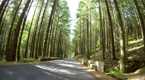 On-board-camera, mountain road in Madeira, Portugal. Video stock 58723236