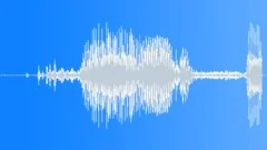 Board Game Play Money Sound Effect