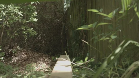 Board on the Ground Pointing to Tree Lumber  Video stock 124954761