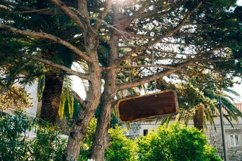 Board for inscriptions in the forest 스톡 사진