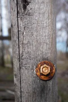 Board with a metallic nut Stock Photos