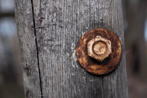 Board with a metallic nut Stock Photos