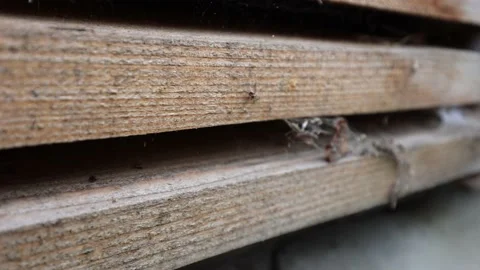 The board is ready for use. Tree after sawmills. Wooden material for the floor. Stock Footage 218315865