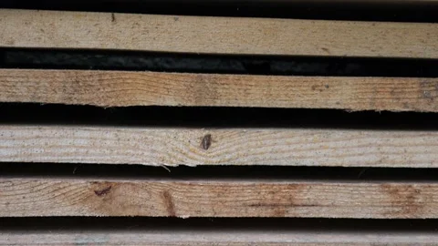 The board is ready for use. Tree after sawmills. Wooden material for the floor. Stock Footage 218351032