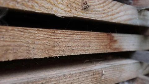 The board is ready for use. Tree after sawmills. Wooden material for the floor. Stock Footage 218353367