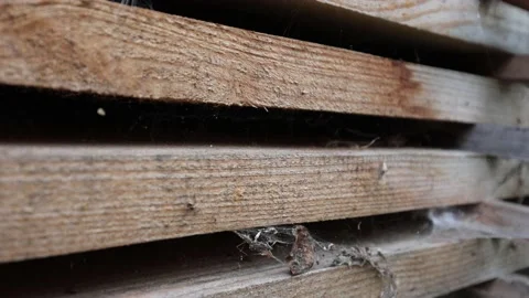 The board is ready for use. Tree after sawmills. Wooden material for the floor. Stock Footage 218353391