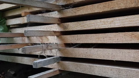 The board is ready for use. Tree after sawmills. Wooden material for the floor. Stock Footage 218353400