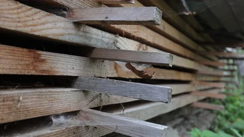 The board is ready for use. Tree after sawmills. Wooden material for the floor. Stock Footage 218353403