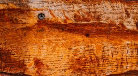 Board with screw Stock Photos