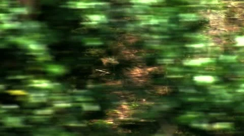 On board steam train Stock Footage 10857023