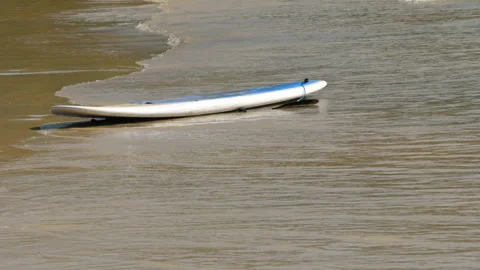 Board with sup surf paddle is lying on sandy beach Video stock 276850967