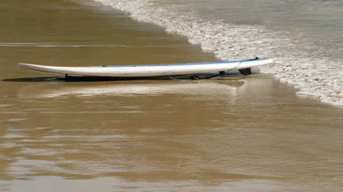 Board with sup surf paddle is lying on sandy beach Stock Footage 293944106