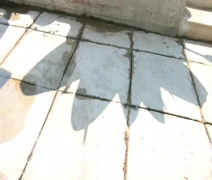 Board tail shadows Video stock 651891