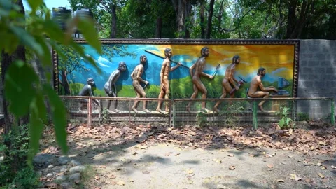 A Board View of Human Generations Video stock 313566615