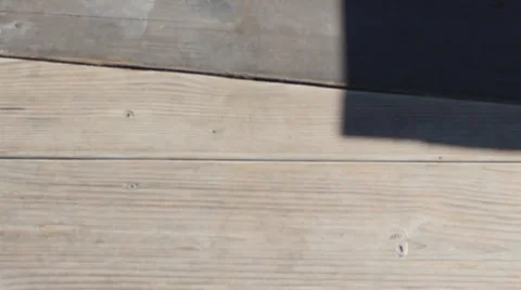 Board walk Stock Footage 8798156
