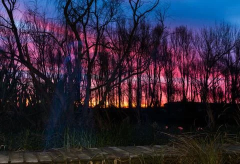 Board Walk Ghost Stock Photos
