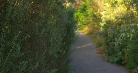 Board walk grate Stock Footage 164133157