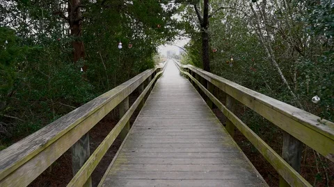 Board walk through the trees to the beach access. Stock Footage 123257529