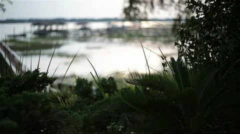 Board Walks On River 스톡 동영상 11249098