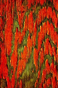 Board with a Weathered Paint Stock Photos