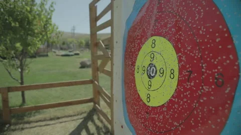 Board on which they shoot Stock Footage 327868515