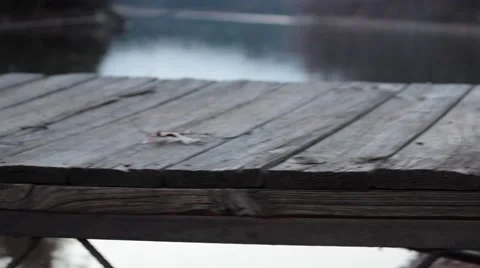 Boarded Dock over Lakeshore Stock Footage 44666366