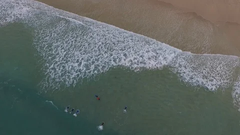 Boarders Video stock 97139196