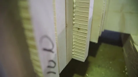 Boards cut out deck. Cut log into planks and beams using lines of processing Stock Footage 78009387