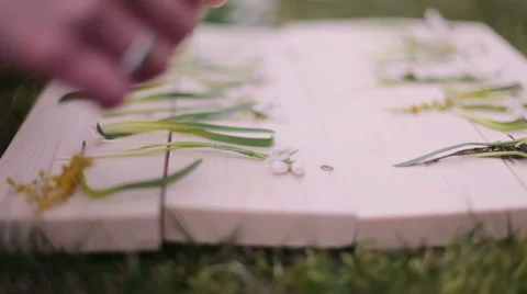 Boards with flowers Stock Footage 47415584