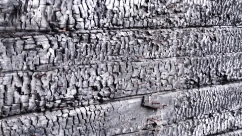 Boards of the house after the fire Stock Footage 145671419