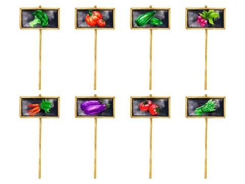 Boards with painted vegetables. Stock Illustration