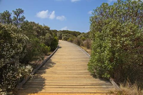 Boardwalk at Anglesea River in Anglesea, Victoria, Australia Stock Photos