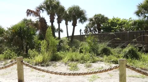 Boardwalk to Beach Stock Footage 40615418