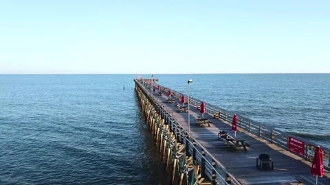 Boardwalk with bird fly away Stock Footage 135334975