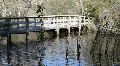 Boardwalk Bridge In Boyd Hill Nature Park HD Footage