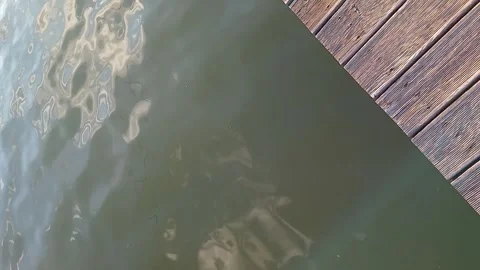 Boardwalk bridge over the river 스톡 동영상 278544859