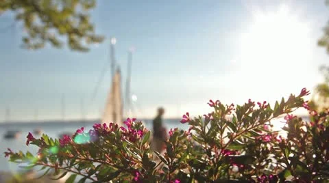 Boardwalk couple Stock Footage 11947718