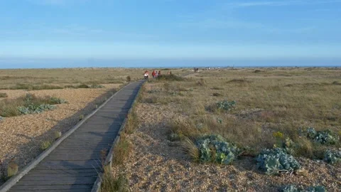 Boardwalk at Dungerness Stock Footage 243607756